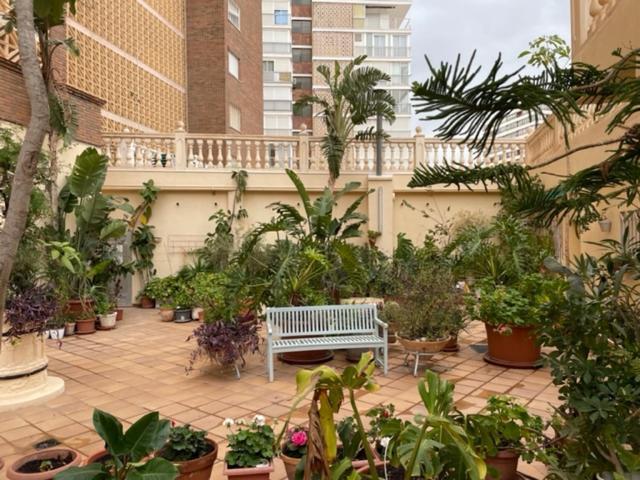 Precioso Apartamento A Estrenar En Primera Linea De Playa Benidorm Exterior photo